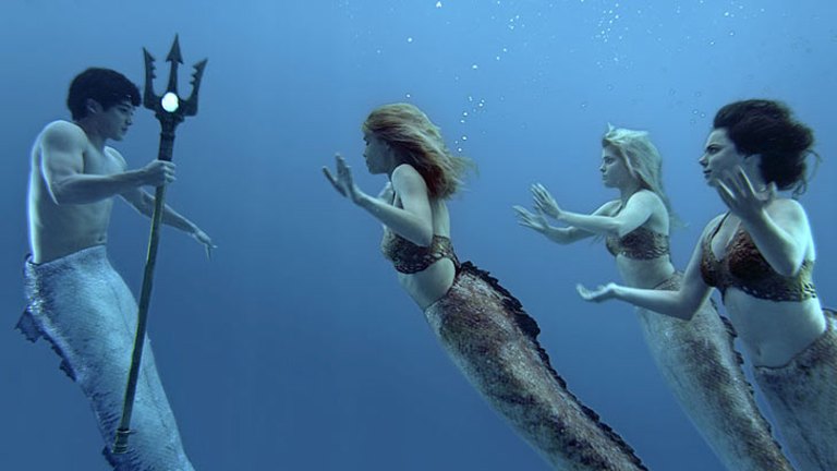 mako mermaids swimming