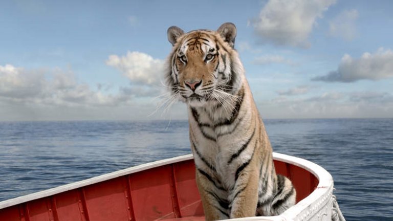 Life of Pi tiger nearly drowned on set, report alleges, Action and  adventure films