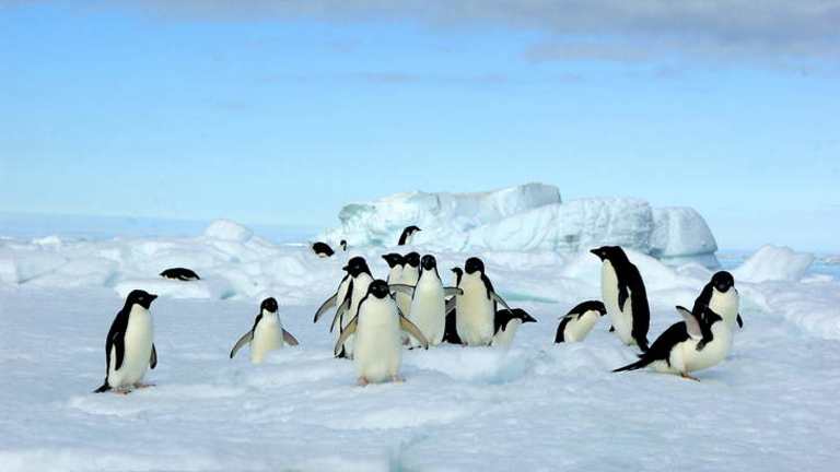 Record cold clocked in Antarctica