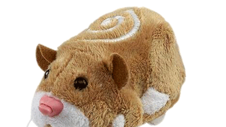 Guinea pig sale toys australia