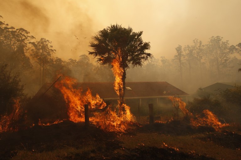 Image result for australia fire outbreak
