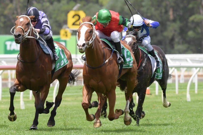 Strike: Jockey Greg Ryan rides Moobi to victory at Warwick Farm, but did so with extensive use of the whip.