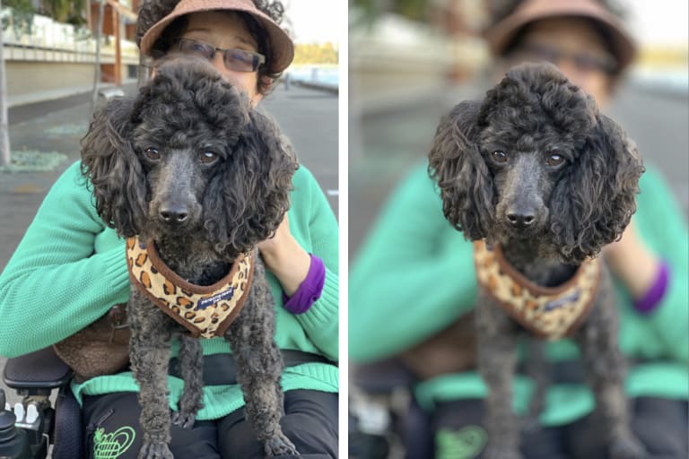 Bokeh effect in action: Pheona Mulligan with her dog Fergie. 