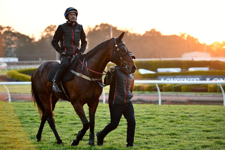 Hard work: Jockey Hugh Bowman aboard Winx during trackwork at Rosehill on Thursday.