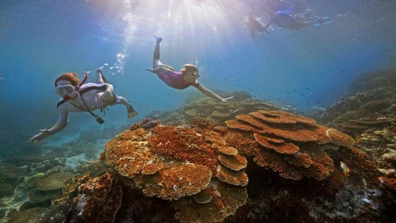 Money down the drain: Half-a-billion dollars for the Great Barrier Reef 32ebb8ffafcd5b7048009728c93ca153c334bcb3