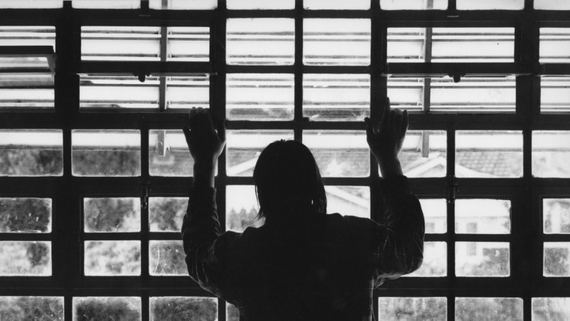 Brains Of Young People With Severe >> Ninety Per Cent Of Incarcerated Youths Have A Brain Disorder Brains Of Young People With Severe >> Ninety Per Cent Of Incarcerated Youths Have A Brain Disorder