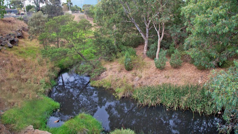 Horse paddock relinquished for millions