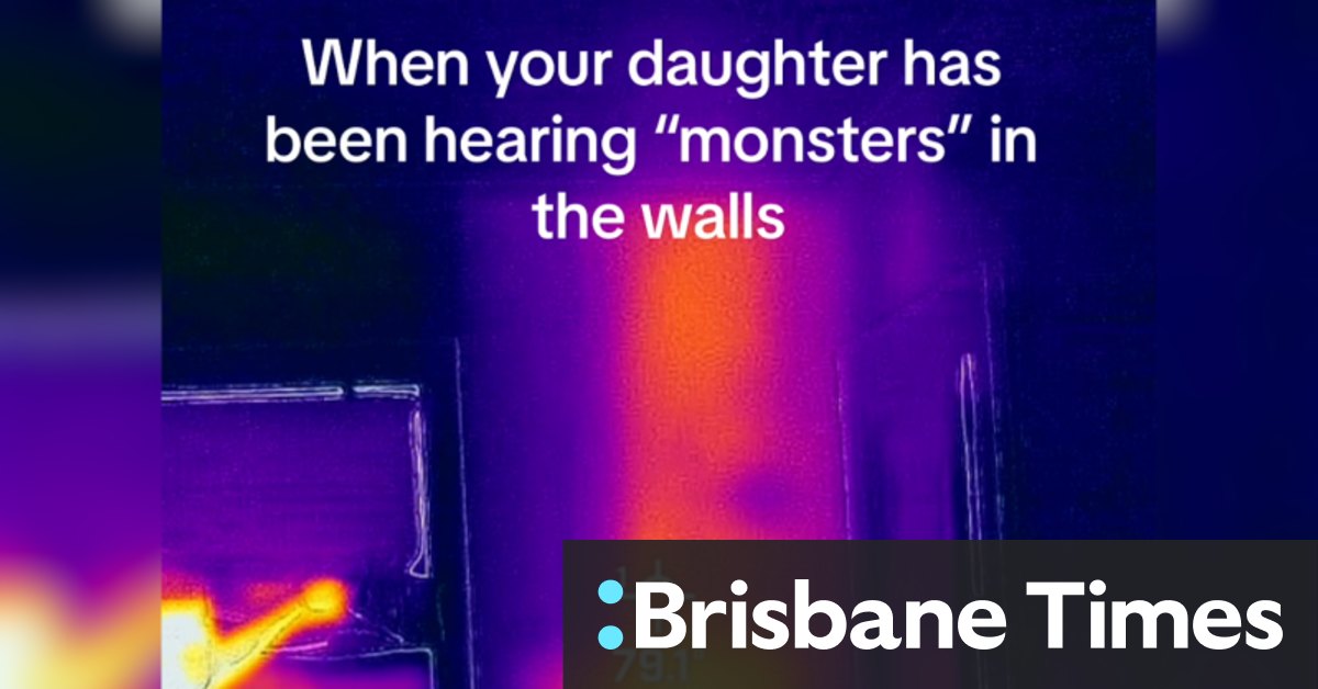 'Monsters in wall' in girl's bedroom turn out to be hidden beehive - Vimarsana News