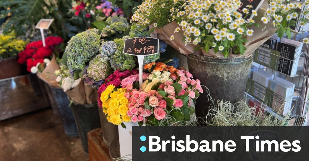 The best florists in Brisbane for buying flowers or having them delivered