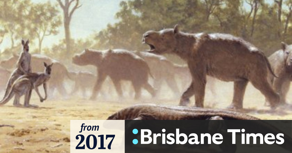 Prehistoric Ice Age relative of wombat, koala first migrant marsupial