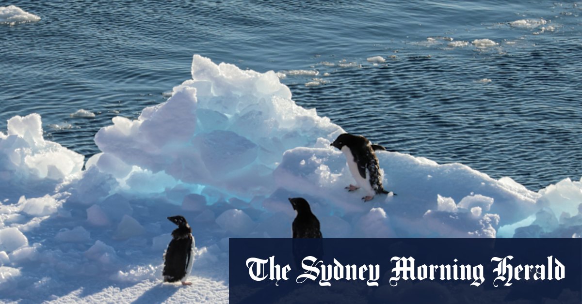 Trump cuts satellite data on Antarctic sea ice just as it’s needed most