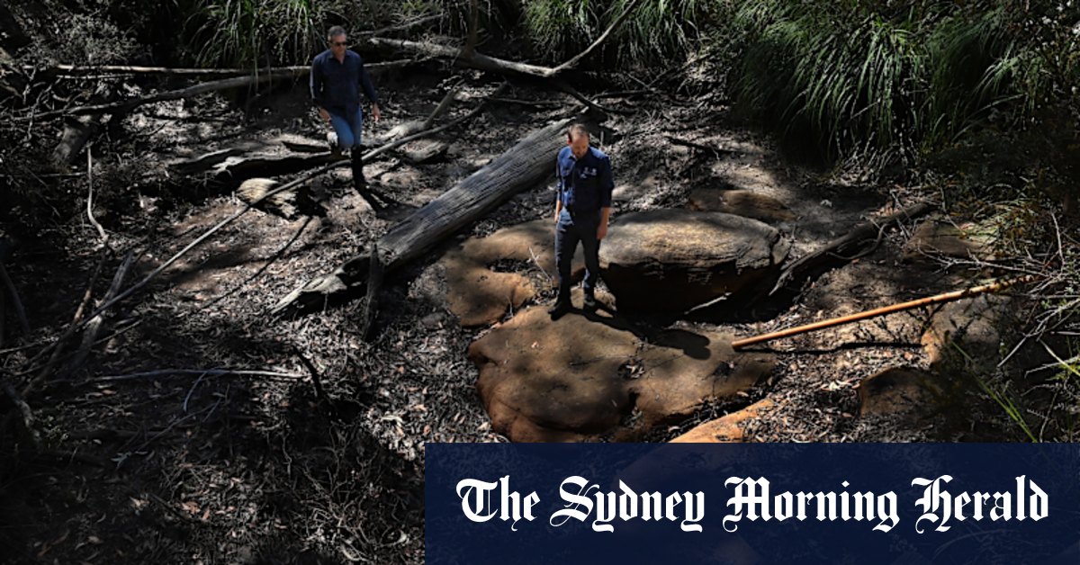 Once healthy creeks in the Sydney catchment have become dead zones ...