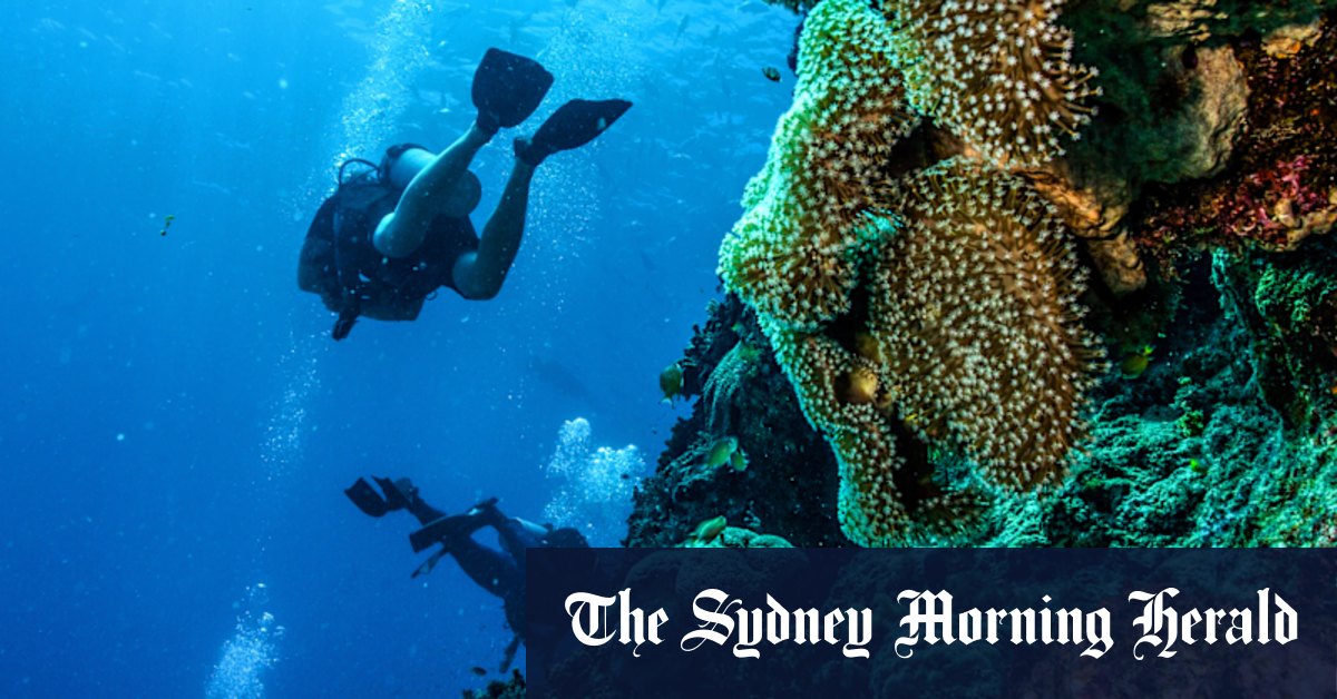 How a fight about the Great Barrier Reef has become a free speech test - Vimarsana News