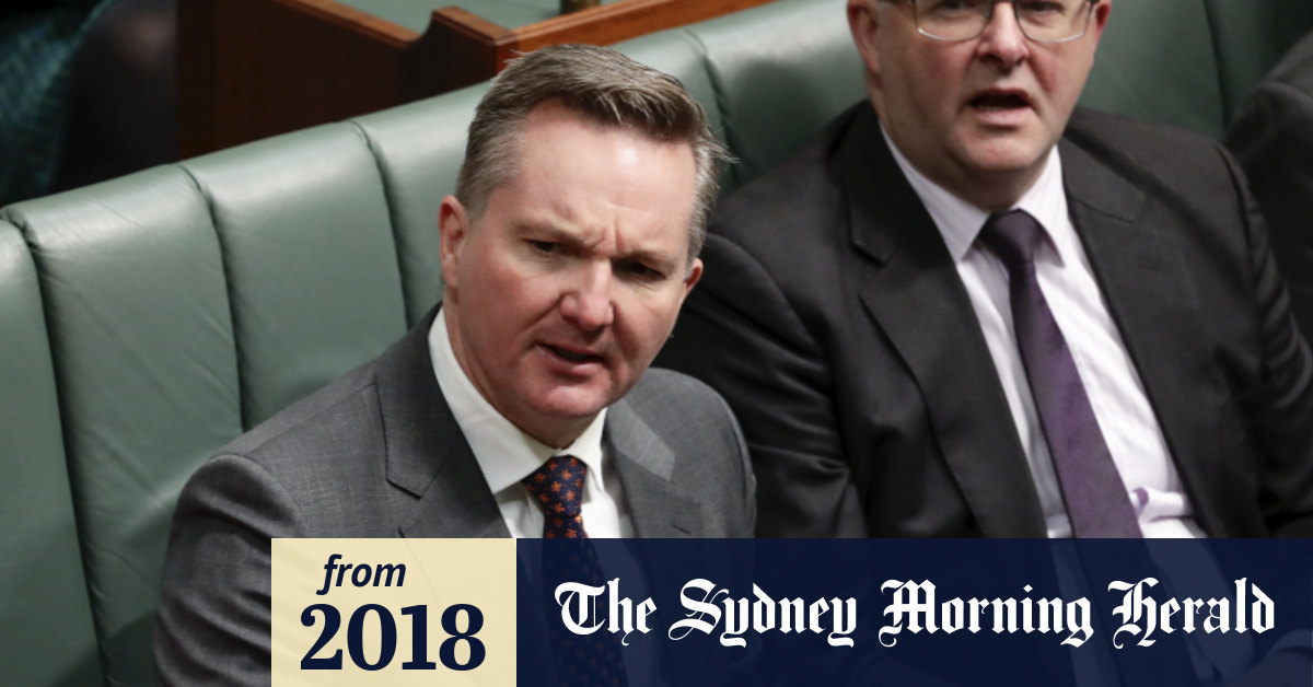 Jim morrison scott isler essay picture