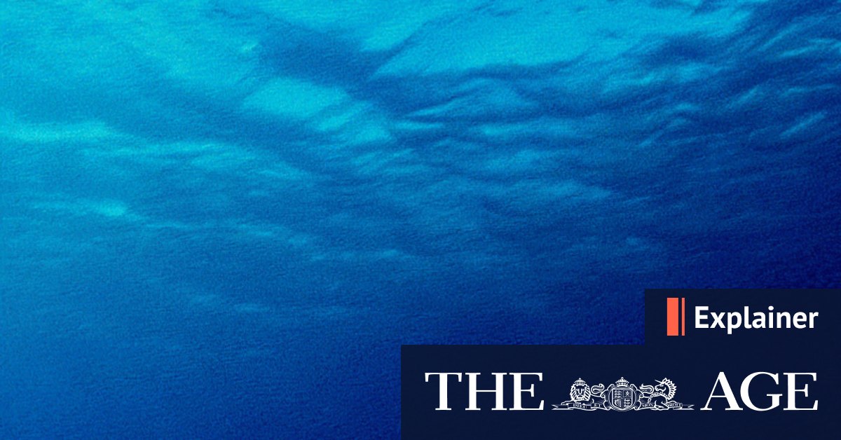 Drowning: How it happens and how long can humans hold their breath? - Vimarsana News