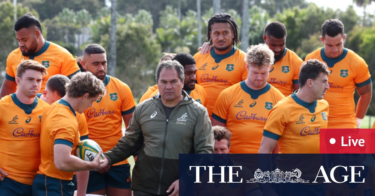 wallpapers Wallabies Vs France 2021 Dates thefastnewz