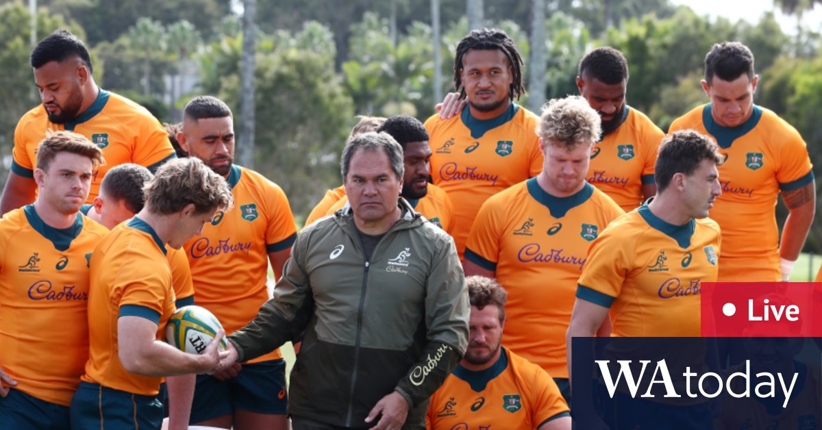 pics Wallabies V France Sydney Tickets https acqroaustralia com wallabies v france first take a look at live updates wallabies full miraculous comeback after last siren