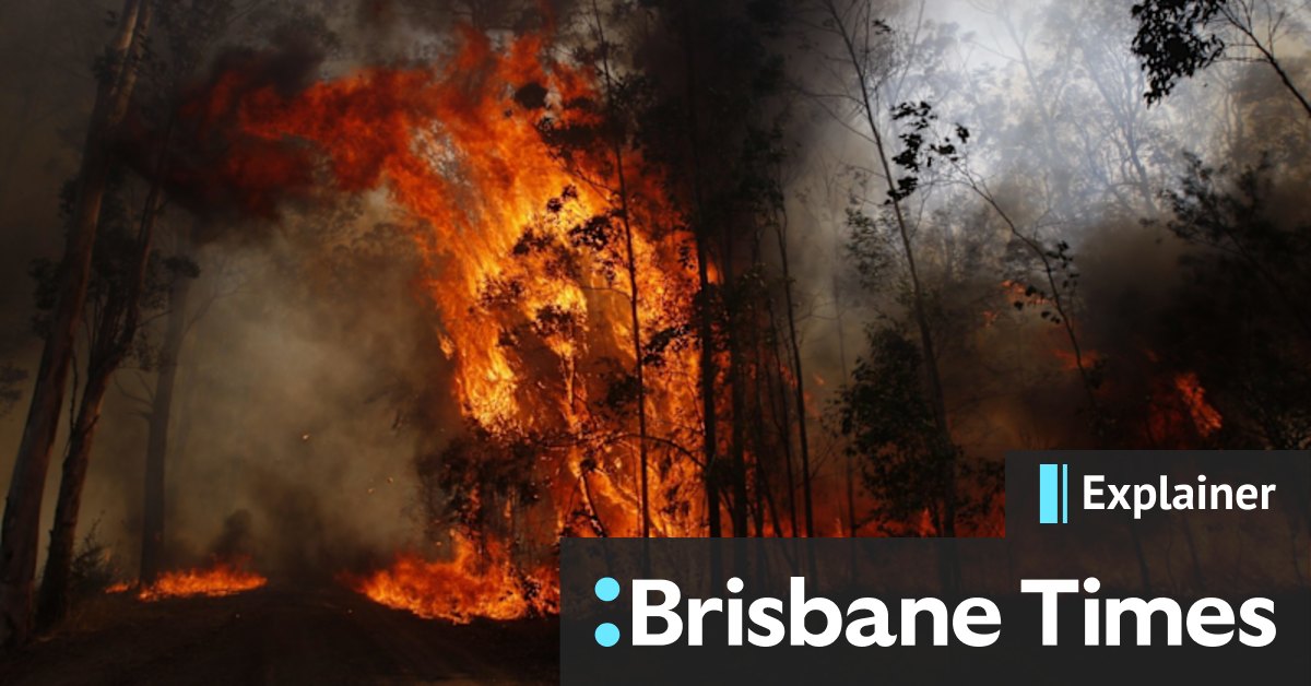 What is fire and how are bushfires changing? - Vimarsana News