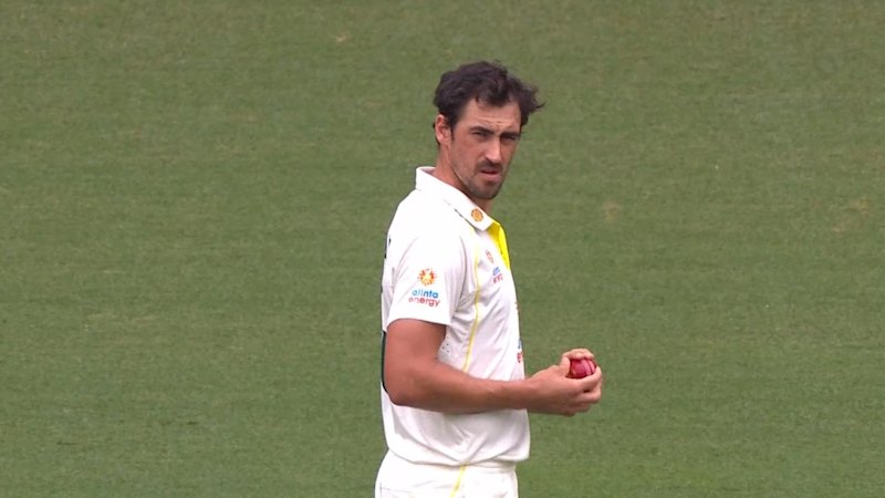 Hazlewood backs bowlers to cover Cummins’ absence