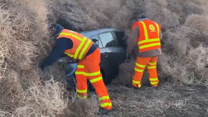 Tumbleweeds trap people in their cars
