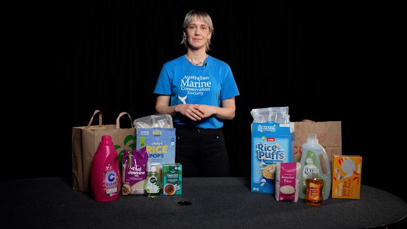 Cataloguing single-use plastics in supermarkets