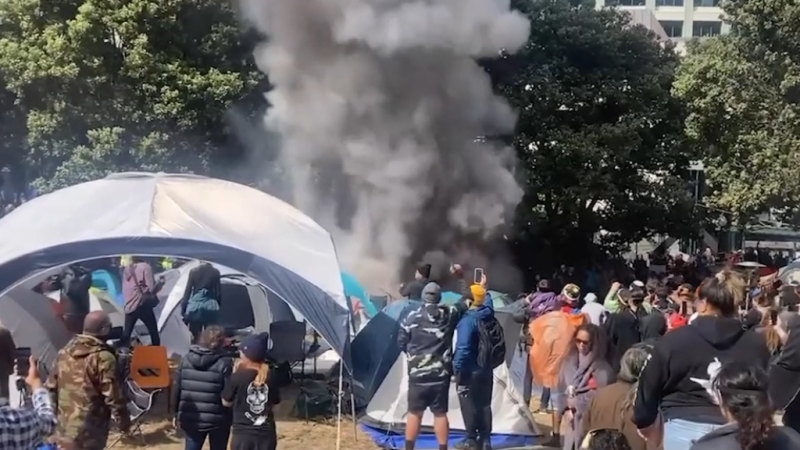 Protestors set fire to Parliament in New Zealand