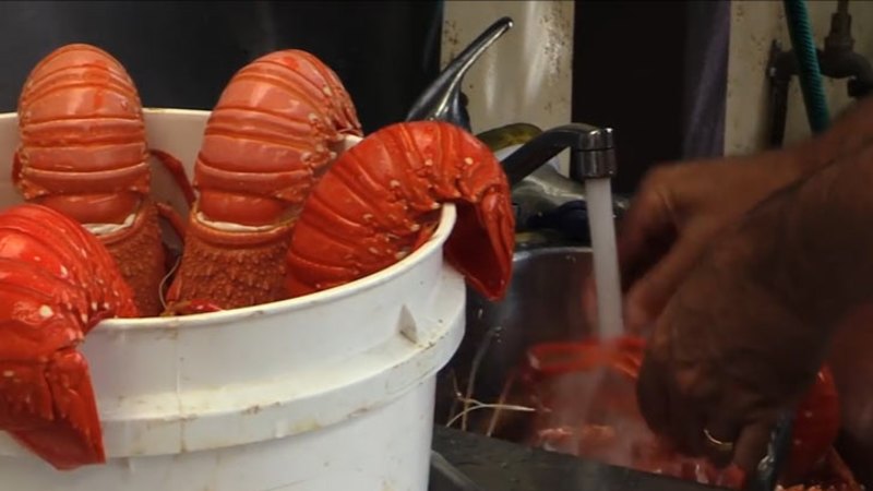 Video: How to cook crayfish