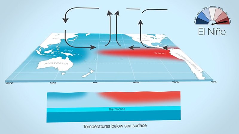 Video: What is the El Nino and La Nina?