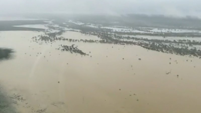More rain coming for flooded north Queensland
