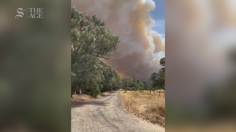 Harcourt man returns home after fires