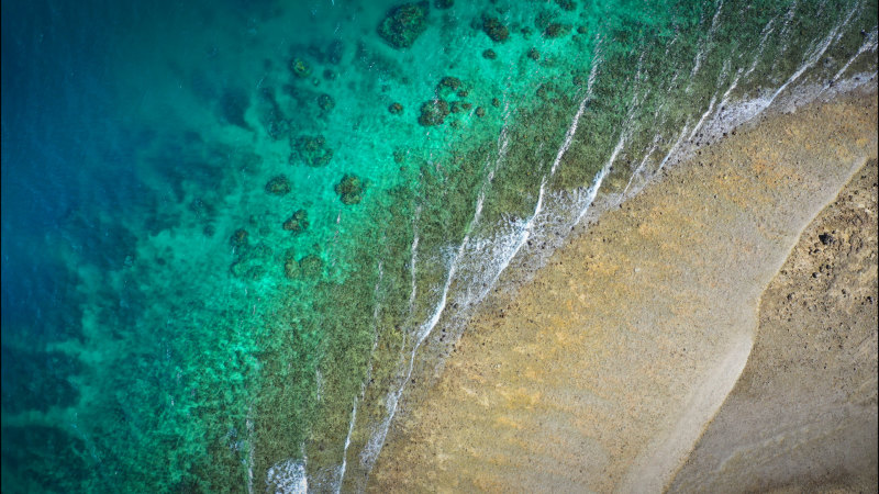 Magic mangroves a ‘blue carbon’ buffer for Great Barrier Reef