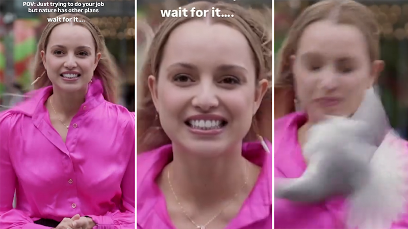 Bird slams into TV reporter on camera