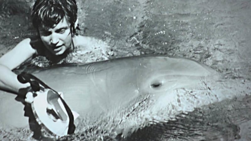 Video: Peter the dolphin dies after sex with Margaret