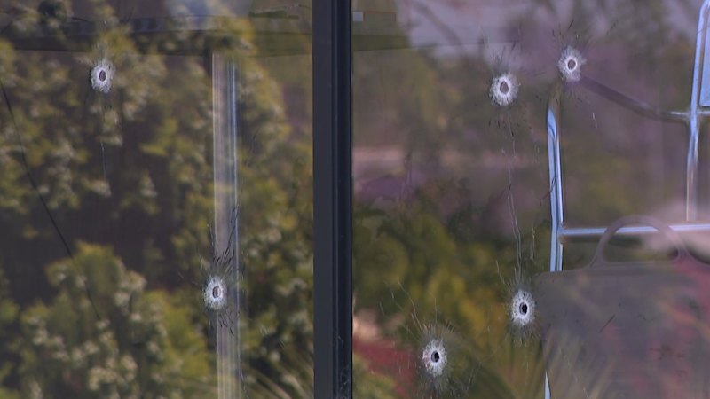 Shots fired into Sydney home