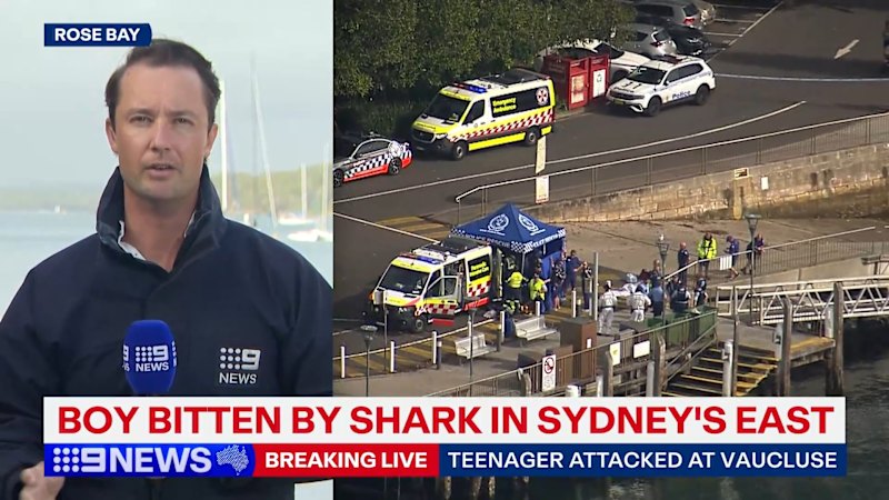 Boy bitten by shark at Sydney Harbour beach