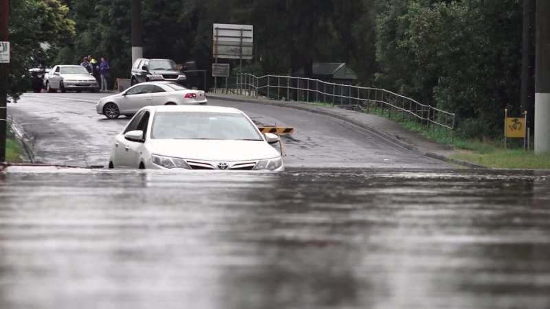 Video: Sydney cops flash-flooding