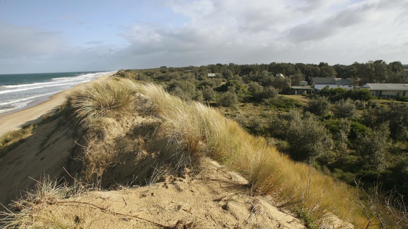 Sand dunes are rich with animals and plants, and a vital part of our ecology