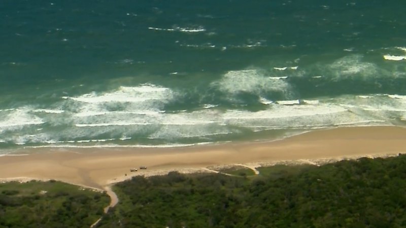 Backpacker found dead surrounded by 10 dingoes on K’gari