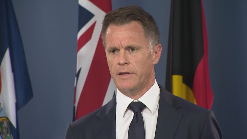 NSW parliament to be recalled for gun, protest laws