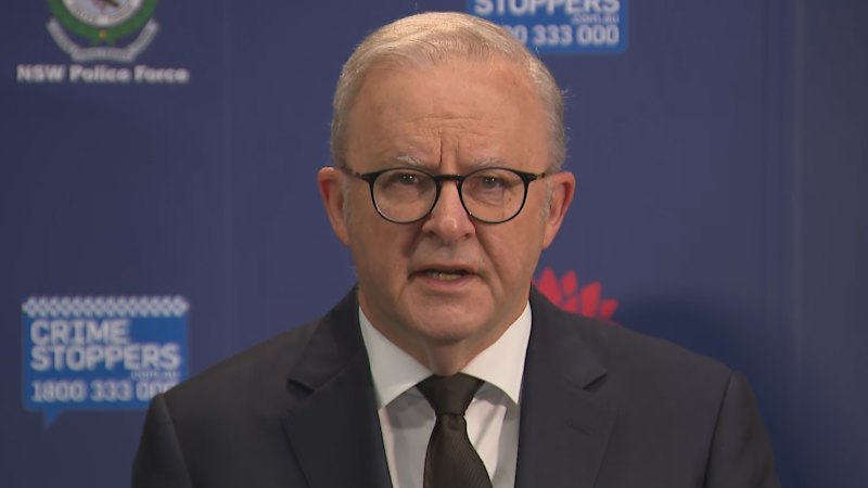 Anthony Albanese provides Bondi attack update
