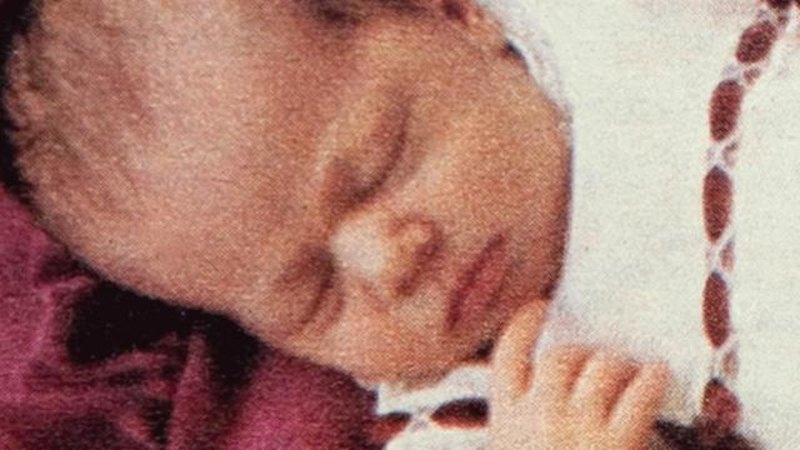 Video: A dingo took my baby