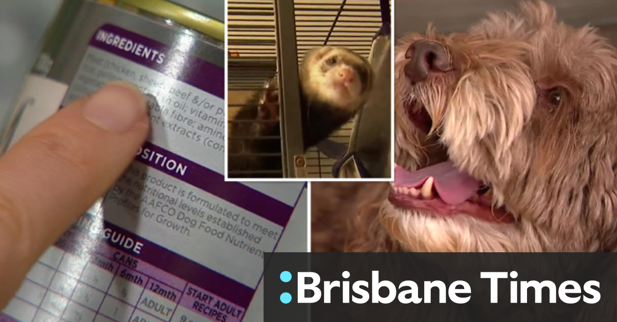 Video Strict new laws to crack down on unsafe pet food