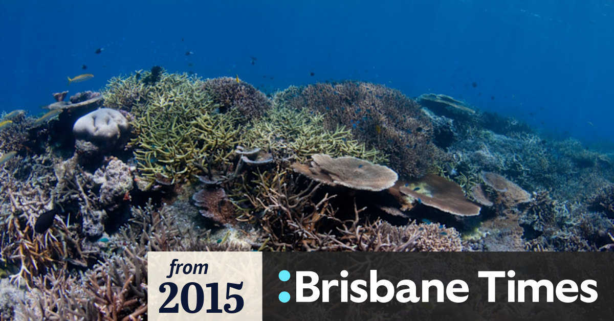 Six things needed to save the Great Barrier Reef
