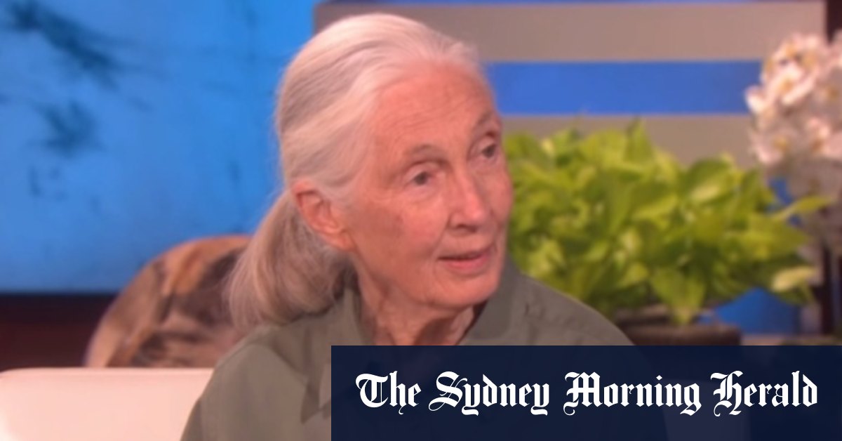 Environmental activist Dr Jane Goodall on her love of animals and Tarzan