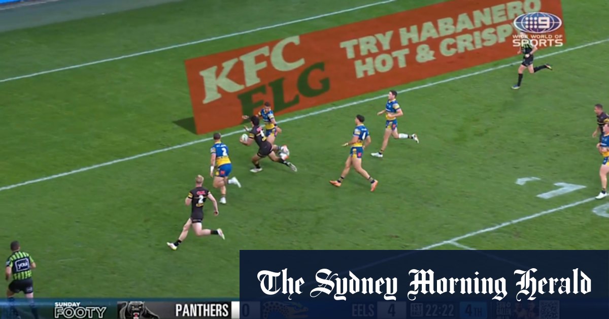 Panthers Try: Youngster's Diving Score - News Directory 3