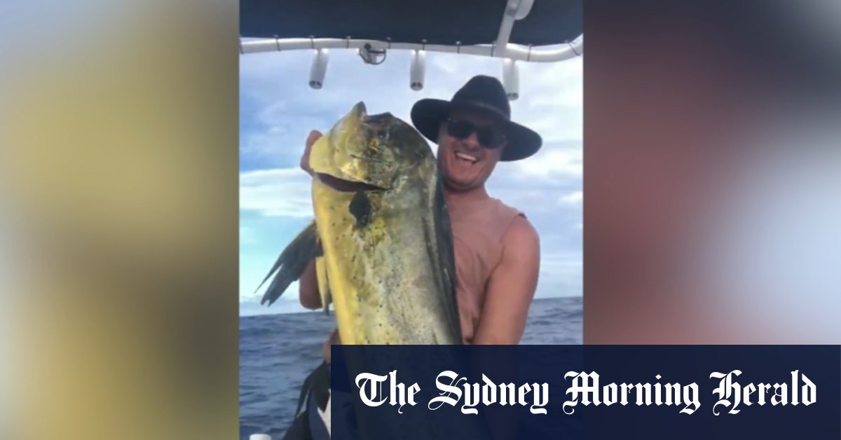 Video: 9News Beach and Surf Presenter reels in monster ...