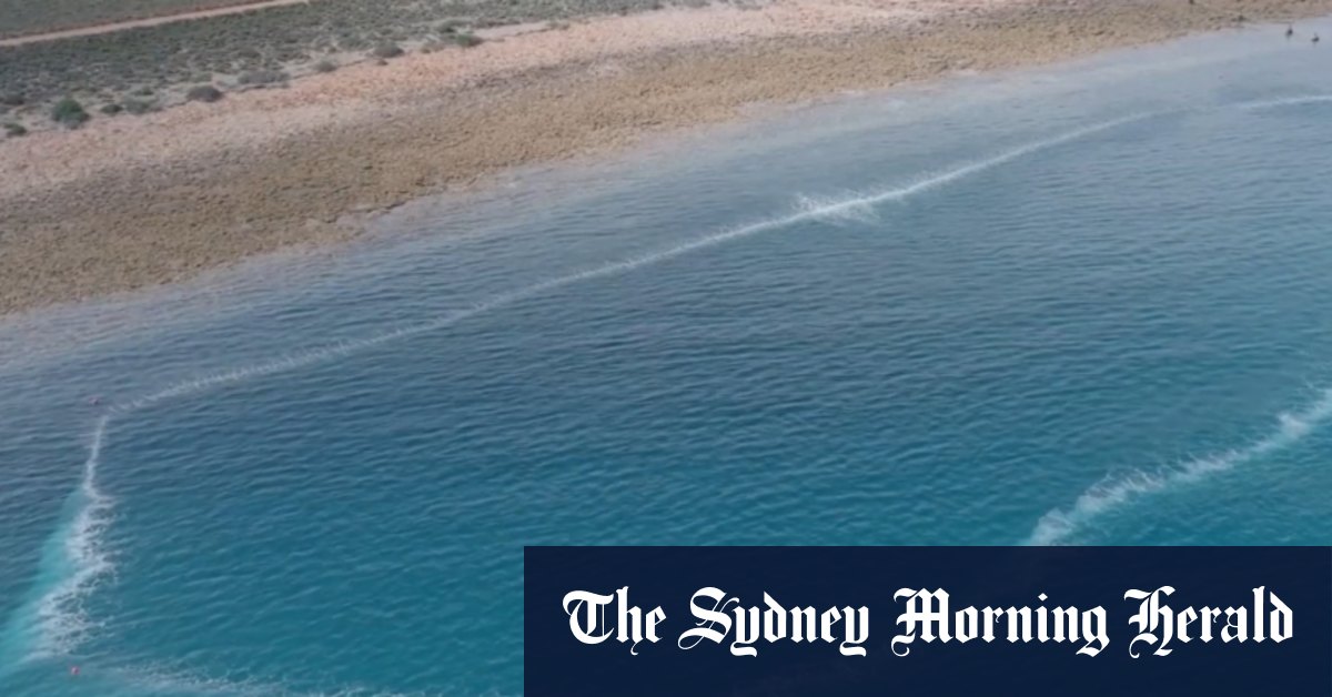 Concerns over algal bloom health advice