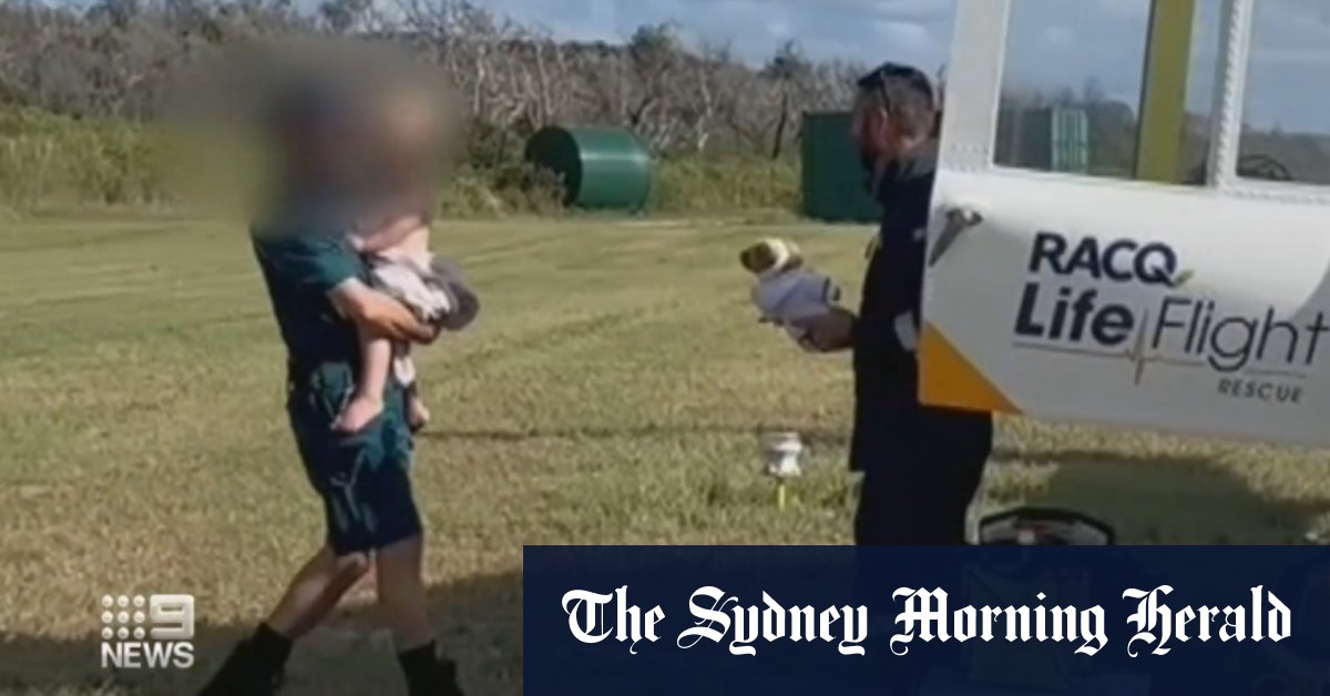 Video Boy attacked by dingo on Fraser Island