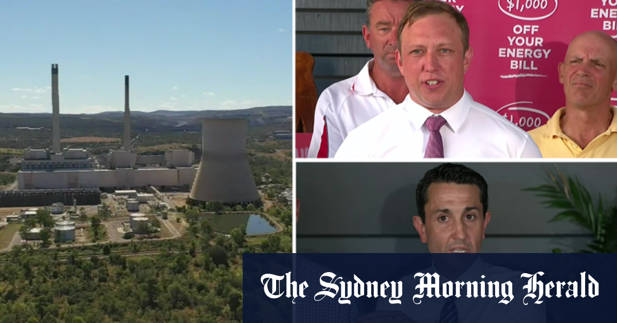 Video Queensland premier campaigns in Cairns as election draws near