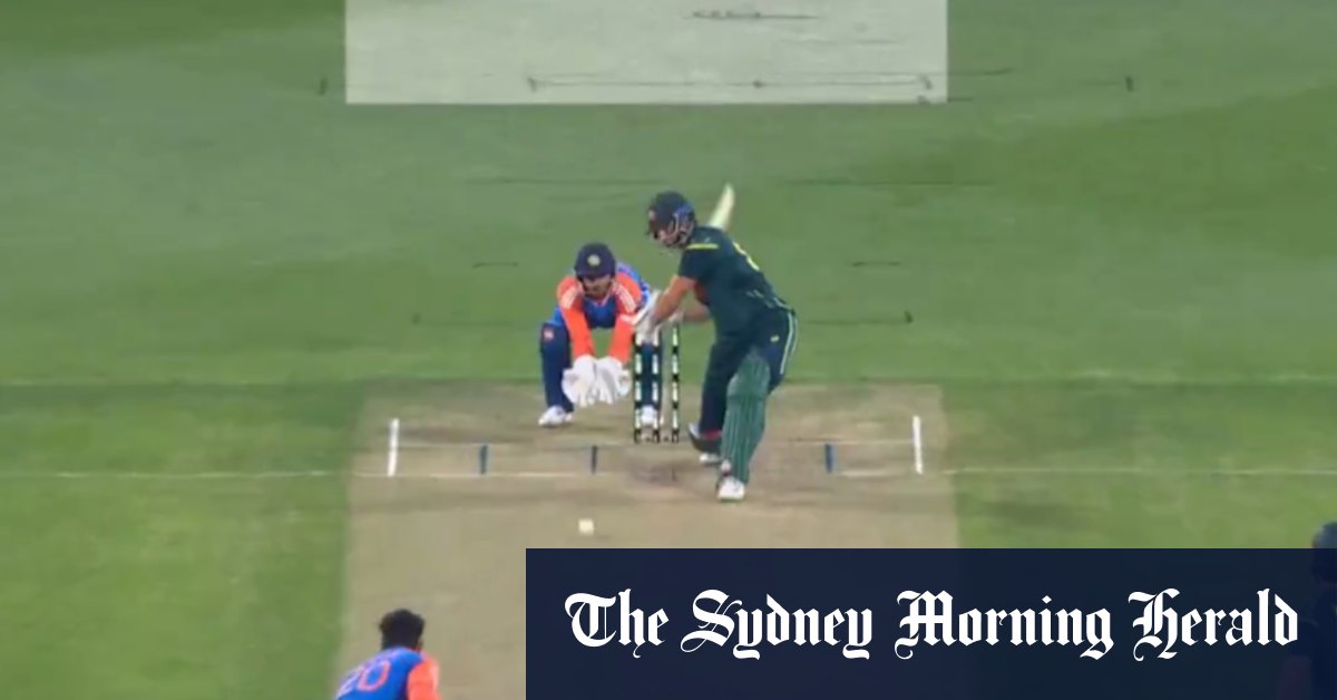 David belts enormous six